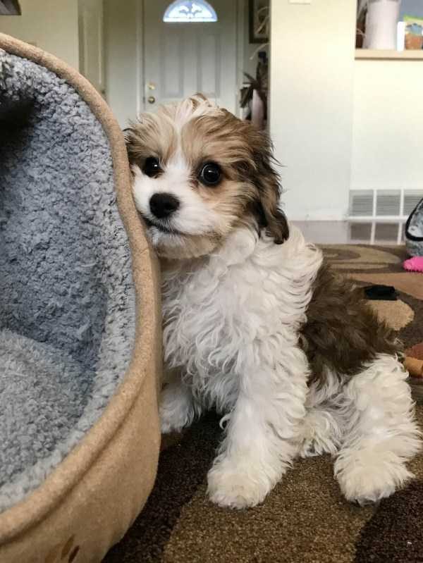 Get Ready For Funny Animals – Part 41 (49 photos)