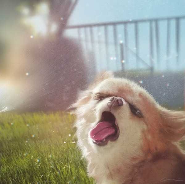 funny animals 51 600x597 Get Ready For Funny Animals – Part 29 (52 photos)