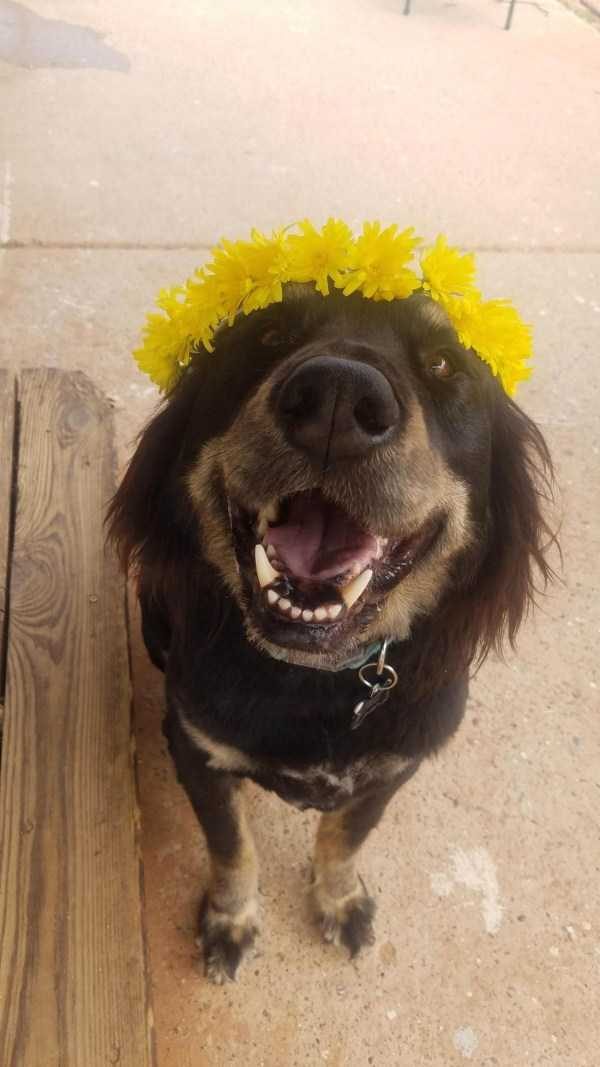 Get Ready For Funny Animals – Part 36 (56 photos)