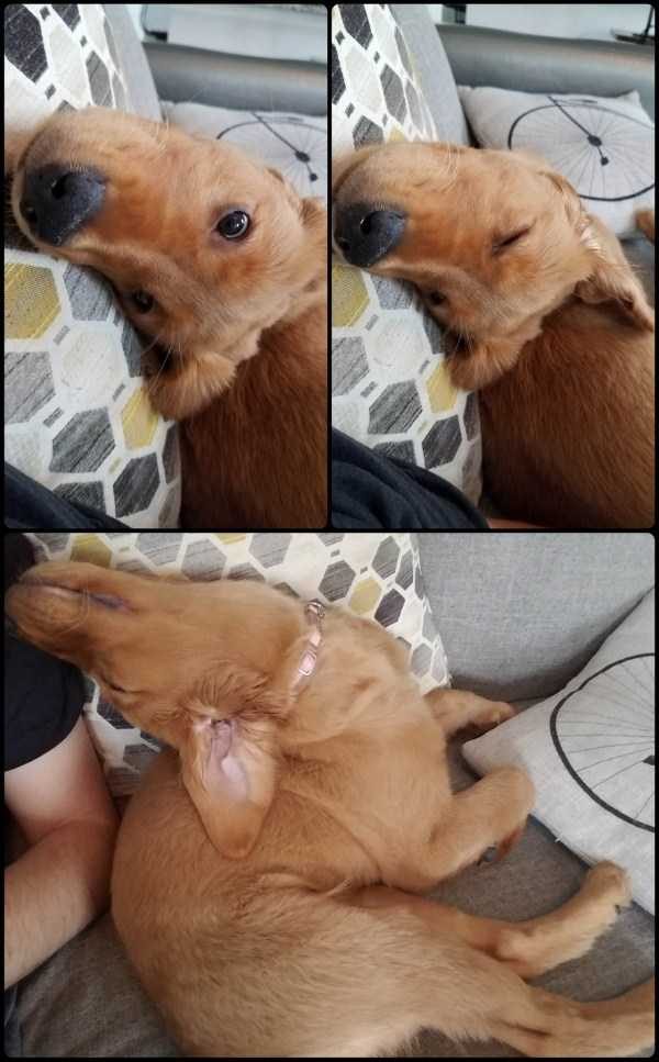 Get Ready For Funny Animals – Part 36 (56 photos)