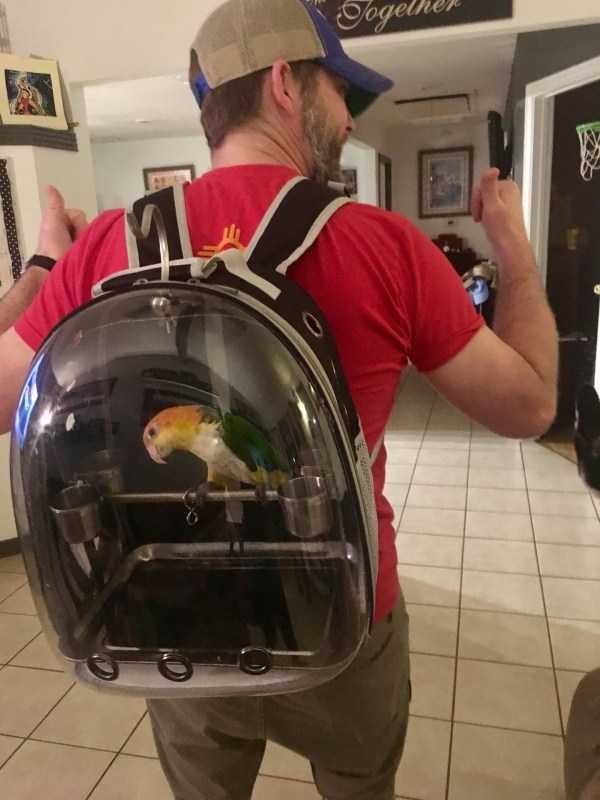 funny animals 6 9 600x800 Get Ready For Funny Animals – Part 37 (45 photos)