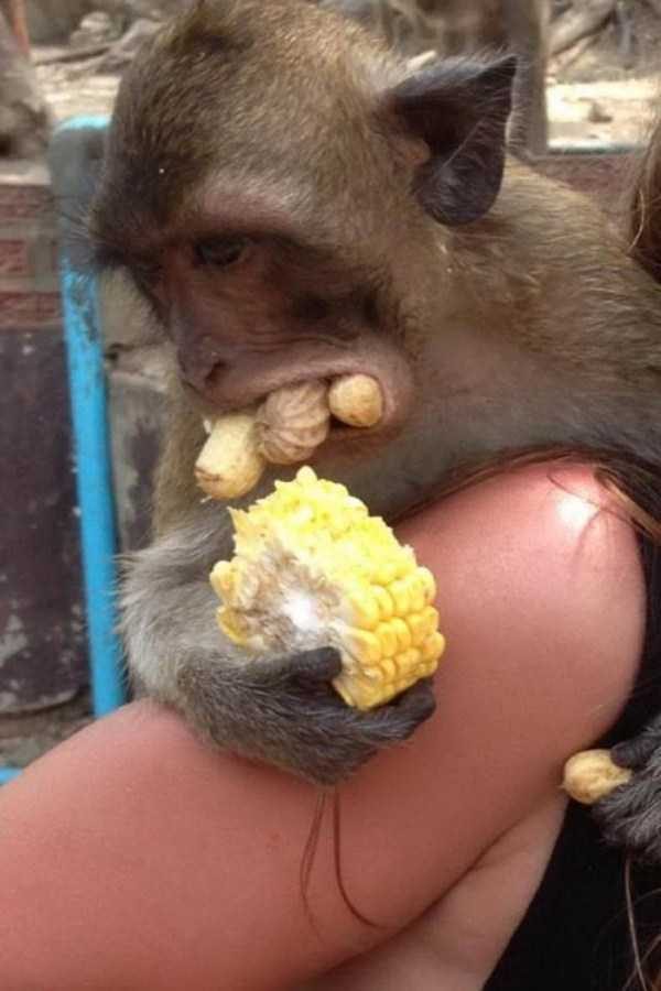 funny animals 7 9 600x900 Get Ready For Funny Animals – Part 37 (45 photos)