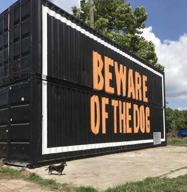 funny animals 9 1 600x616 Get Ready For Funny Animals – Part 29 (52 photos)