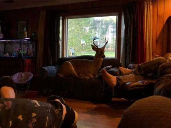 Get Ready For Funny Animals – Part 41 (49 photos)