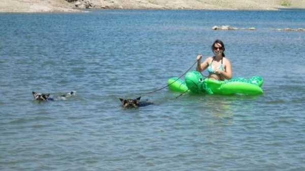 Get Ready For Funny Animals – Part 36 (56 photos)