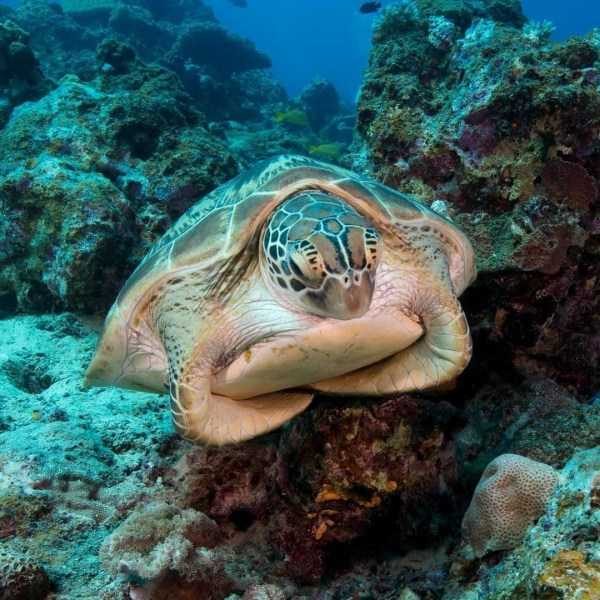 64 Amazing HD Pics That Will Please Your Eyes (64 photos)