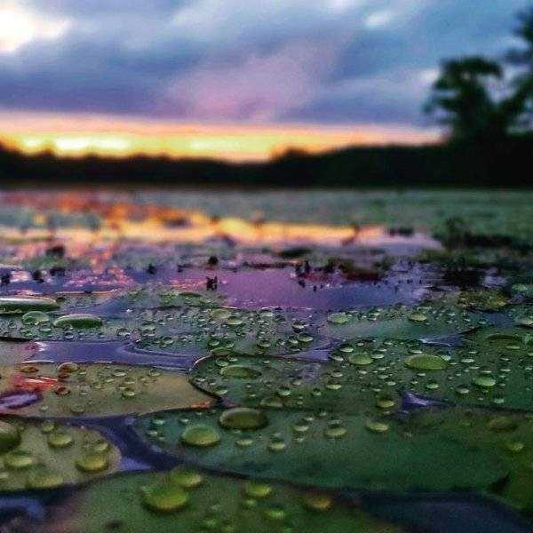64 Amazing HD Pics That Will Please Your Eyes (64 photos)