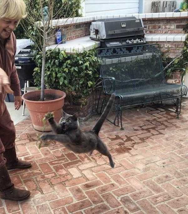 Klyker Picdump (132 photos)