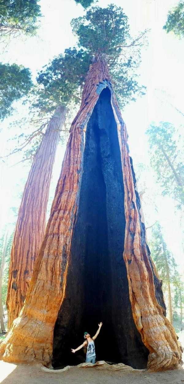 klyker funny picdump 108 16 600x1249 Klyker Picdump (123 photos)