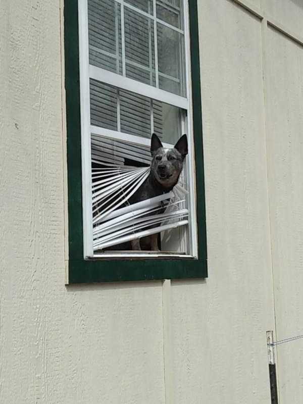 klyker funny picdump 109 16 600x800 Klyker Picdump (123 photos)