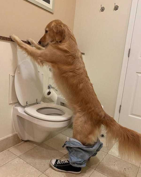 Klyker Picdump (133 photos)