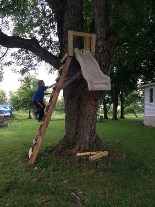 klyker funny picdump 115 1 600x800 Klyker Picdump (128 photos)