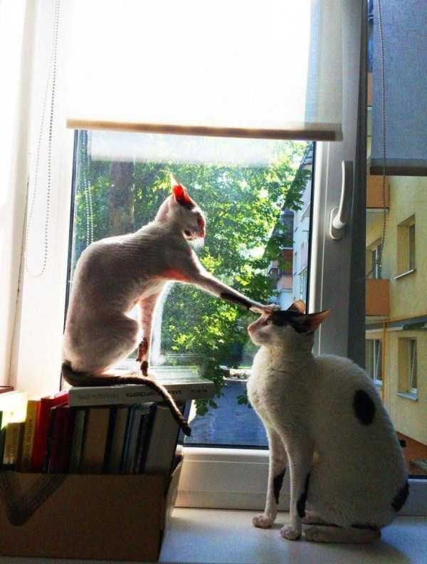 Klyker Picdump (124 photos)