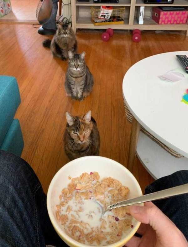 klyker funny picdump 117 13 600x786 Klyker Picdump (123 photos)