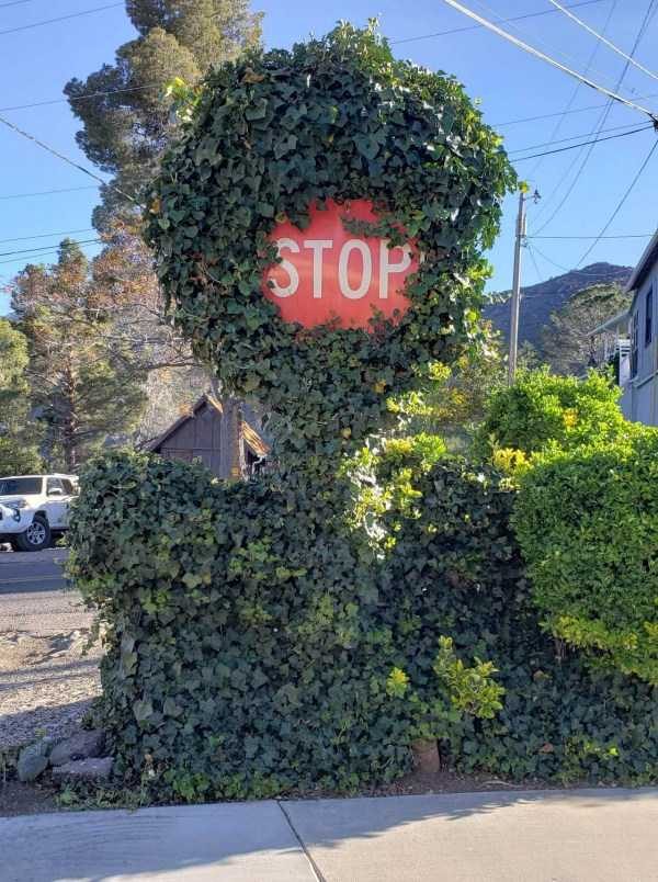 Klyker Picdump (132 photos)