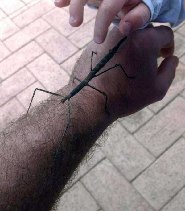 Klyker Picdump (124 photos)