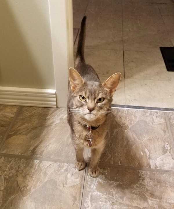 Klyker Picdump (132 photos)