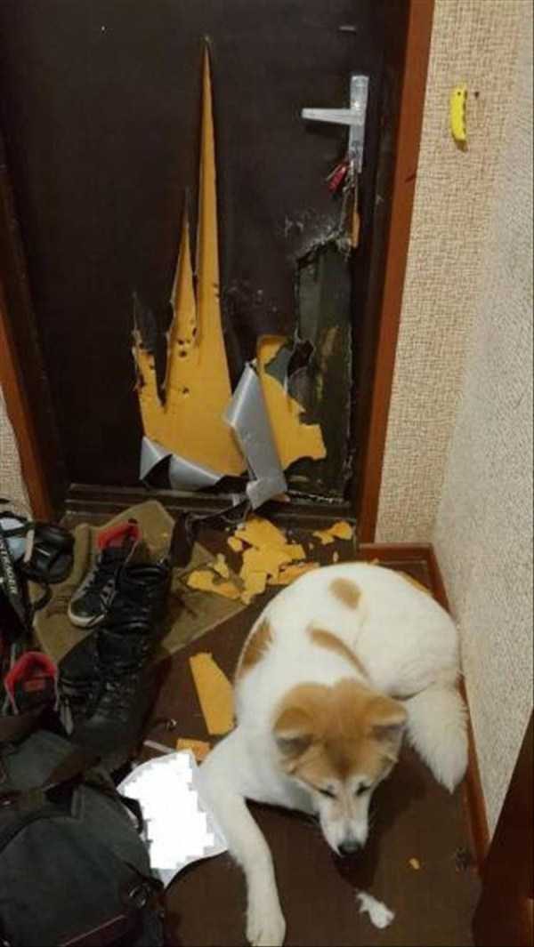 klyker funny picdump 127 600x1065 Klyker Picdump (128 photos)