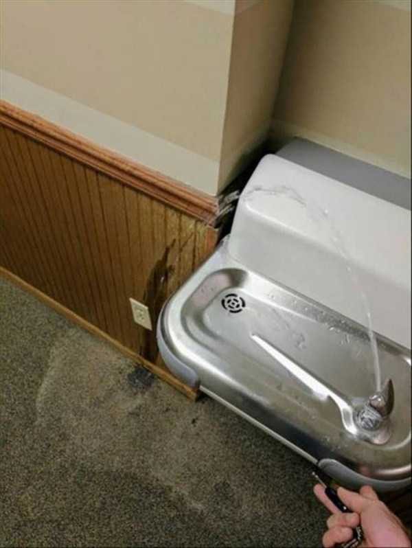 klyker funny picdump 128 600x798 Klyker Picdump (128 photos)