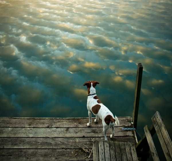 Klyker Picdump (132 photos)