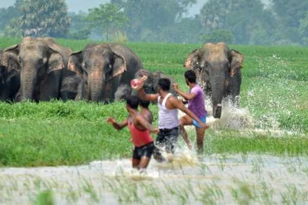 klyker funny picdump 17 1 600x399 Klyker Picdump (128 photos)