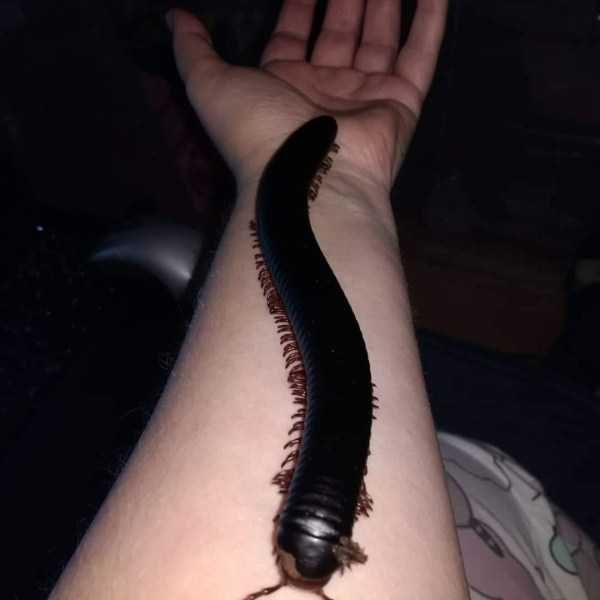 Klyker Picdump (124 photos)