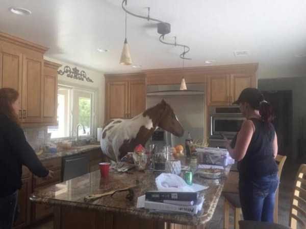 Klyker Picdump (122 photos)