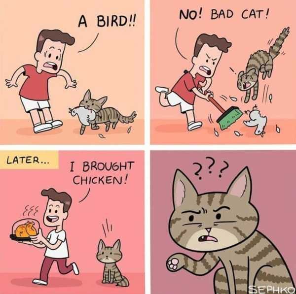 Klyker Picdump (122 photos)