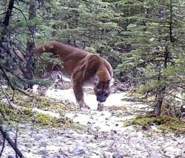 Klyker Picdump (111 photos)