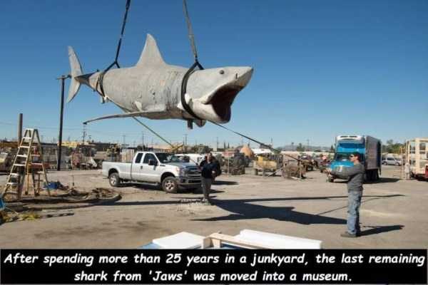 klyker funny picdump 27 1 600x400 Klyker Picdump (128 photos)