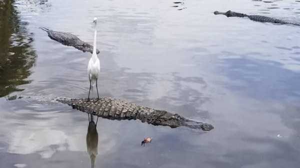 klyker funny picdump 28 1 600x337 Klyker Picdump (128 photos)