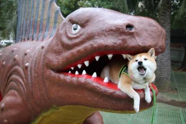 Klyker Picdump (122 photos)