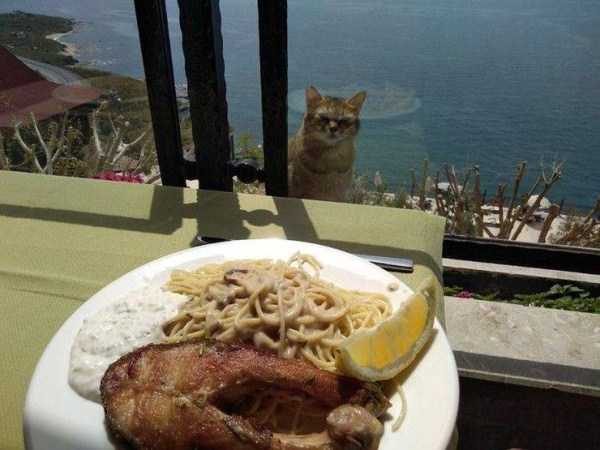 klyker funny picdump 30 16 600x450 Klyker Picdump (123 photos)