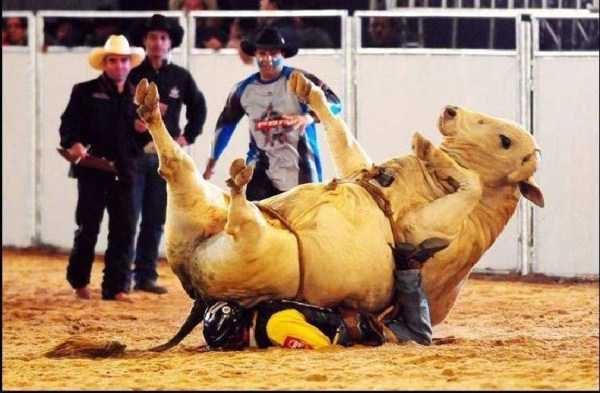 Klyker Picdump (122 photos)