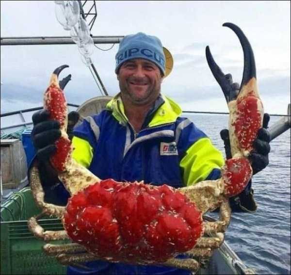 Klyker Picdump (121 photos)