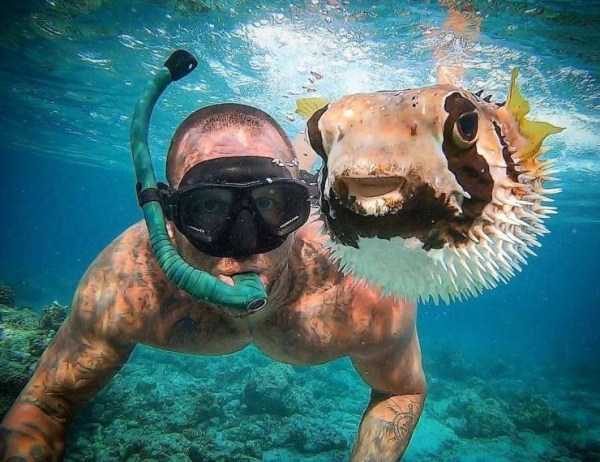 klyker funny picdump 36 16 600x462 Klyker Picdump (123 photos)