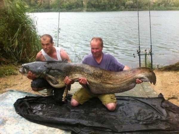 klyker funny picdump 37 16 600x448 Klyker Picdump (123 photos)