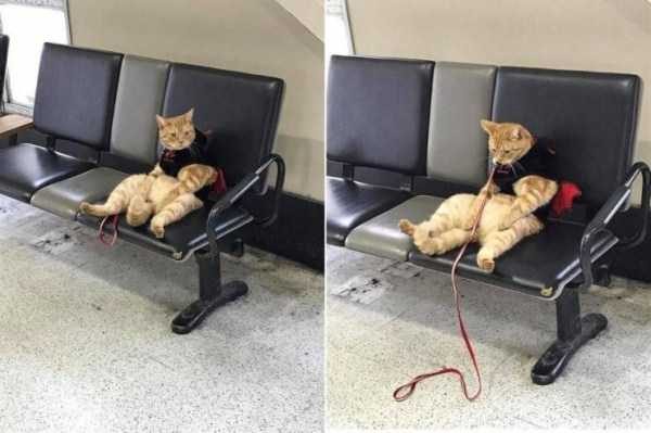 klyker funny picdump 42 16 600x399 Klyker Picdump (123 photos)