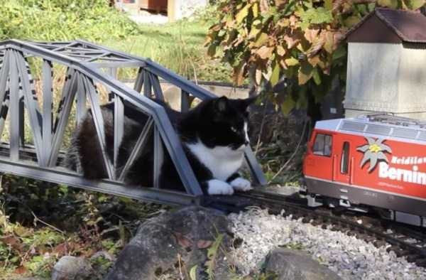 Klyker Picdump (122 photos)