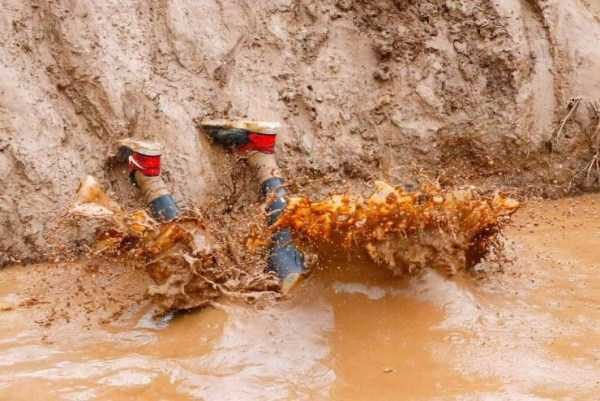 klyker funny picdump 45 1 600x401 Klyker Picdump (128 photos)