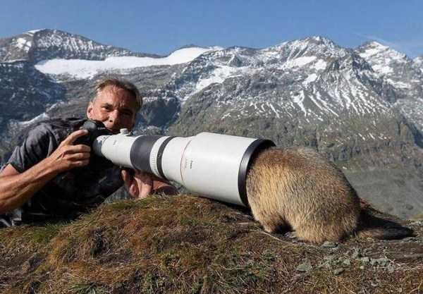 klyker funny picdump 47 16 600x417 Klyker Picdump (123 photos)