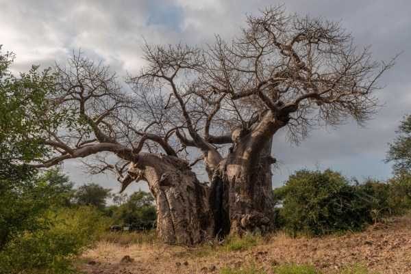 Klyker Picdump (132 photos)