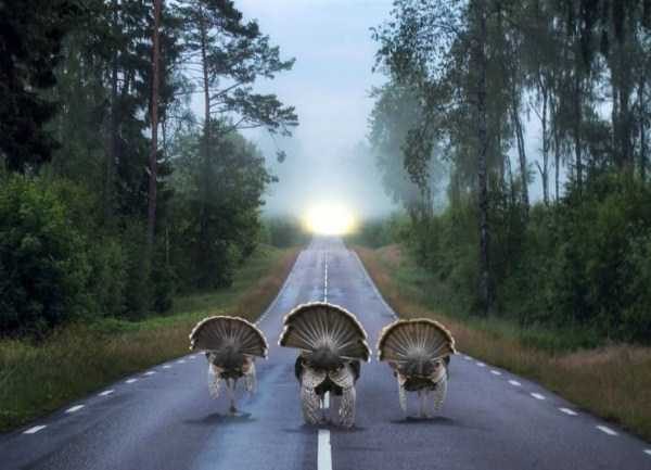 Klyker Picdump (132 photos)