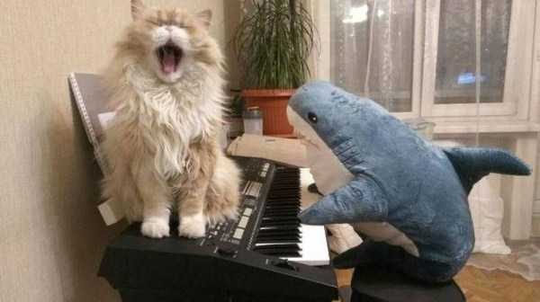 klyker funny picdump 52 16 600x336 Klyker Picdump (123 photos)