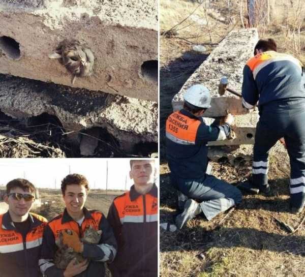 klyker funny picdump 53 16 600x545 Klyker Picdump (123 photos)