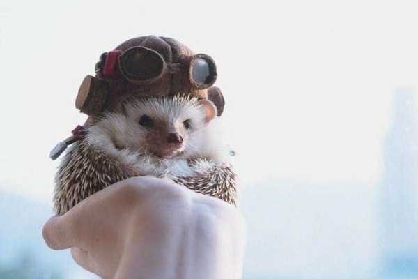 klyker funny picdump 55 1 600x400 Klyker Picdump (128 photos)