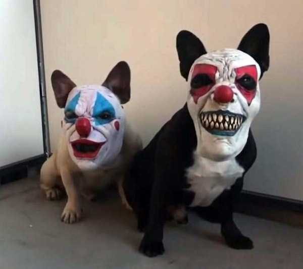 Klyker Picdump (122 photos)