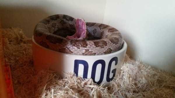 klyker funny picdump 59 1 600x337 Klyker Picdump (128 photos)