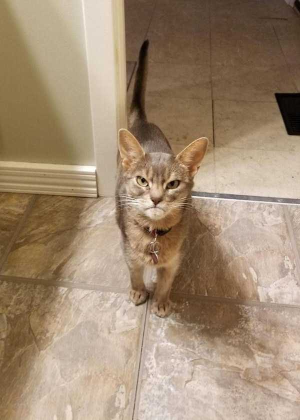 Klyker Picdump (132 photos)