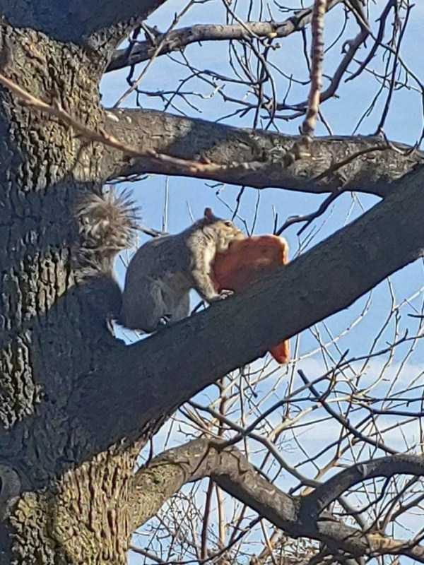 klyker funny picdump 62 1 600x800 Klyker Picdump (128 photos)